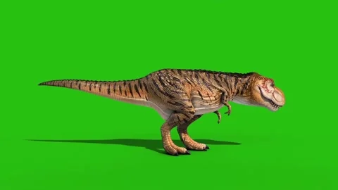 Angry T-Rex dinosaur runs in a looping s, Stock Video