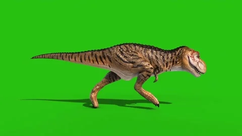 Dinosaur Run Cycle 