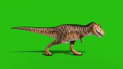 Angry T-Rex Runcycle Green Screen Close , Stock Video