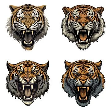 Angry Tiger Head set, vector illustration Stock Illustration