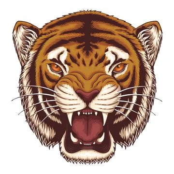 Angry tiger head Vector illustration Stock Illustration