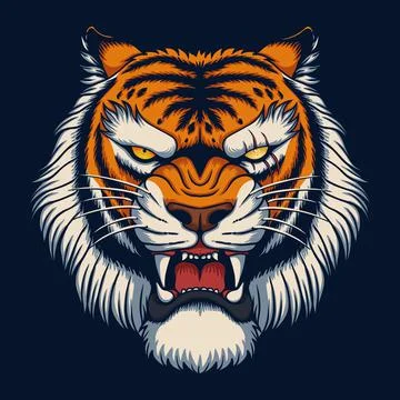 Angry tiger head vector illustration Stock Illustration