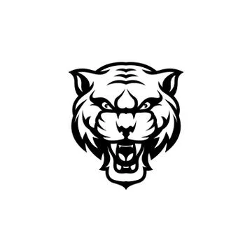 Angry tiger head vector on white background Stock Illustration
