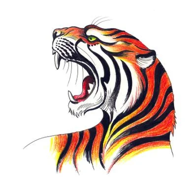 Angry tiger Stock Illustration