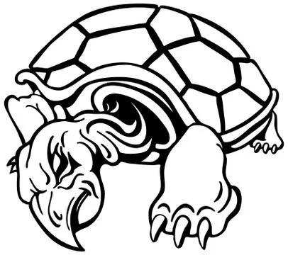 Angry turtle Stock Illustration