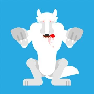 Angry White Wolf attack isolated. Snow Werewolf Predator beast Standing on hi Stock Illustration