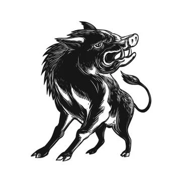 Angry Wild Hog Razorback Scratchboard Stock Illustration