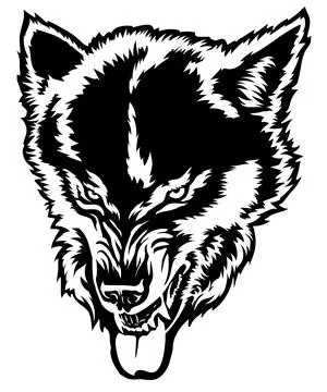 Angry wolf shows teeth, wolf grin, wolf head, black and white drawing for t-s Stock Illustration