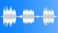 AngryDog Sound Effect