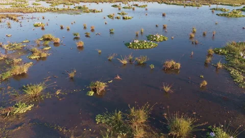 Angular Aerial Flyover Marsh Wetland with Big Pond Stock Footage 344870266