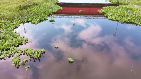 Angular Aerial Flyover Over Marsh with Bridge Reflection in Calm Pond Stock Footage 344785563