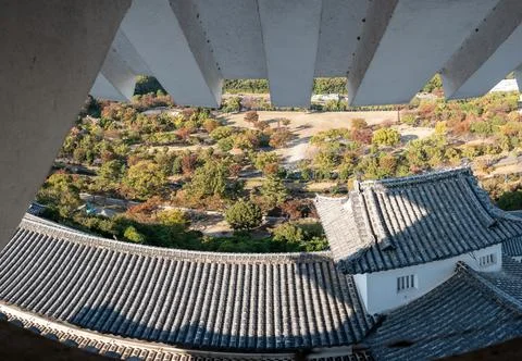 Angular castle eaves above tiled roofs and autumn park Stock Photos