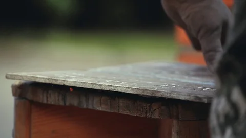 Angular grinding machine garden Stock Footage 91218567