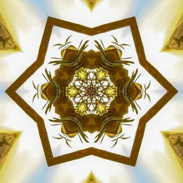 Angular hexagonal star made from the wood of a Chuppah Foto stock