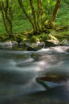 Angular limestone rocks in the bed and banks of a river Stock Photos