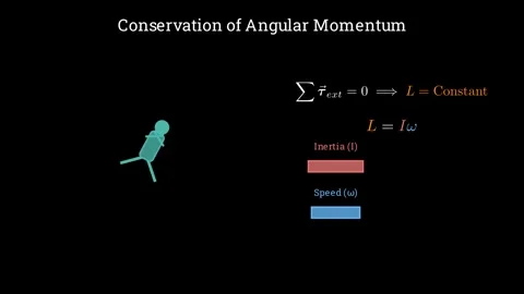 The angular momentum of a diver 스톡 동영상 335190707