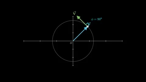 Angular momentum of a particle in circular motion 스톡 동영상 335190423