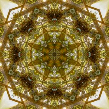 Angular view of leaves of a flower arrangemnet no petals Foto stock