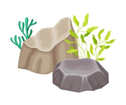 Angulated Sea Stone or Subsurface Rock with Seaweeds and Algae Vector 스톡 일러스트