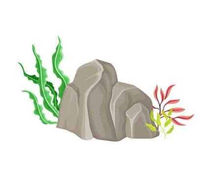 Angulated Sea Stone or Subsurface Rock with Seaweeds and Algae Vector Stock-Illustration