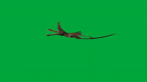 Anhanguera  Side view flying Video stock 32846502