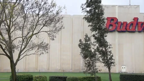 Anheuser-Busch Stock Footage 2150763