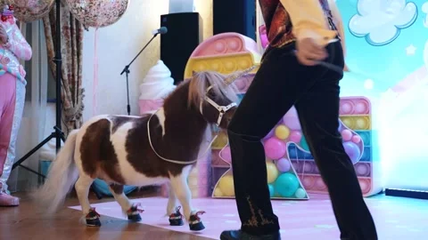 Animal 06 Stock Footage 171949671