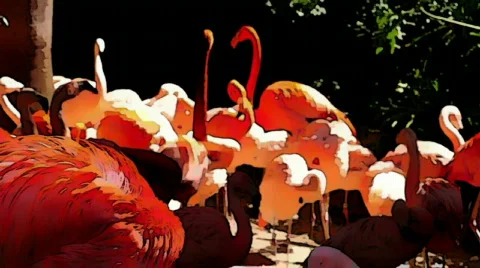 Animal 12 Stock Footage 668022