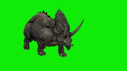 ANIMAL 4K time 56 sec. triceratops walks slowly looking for food Stock Footage 290232701