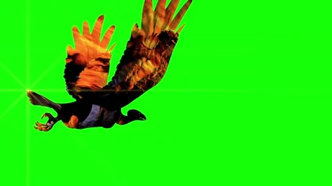 ANIMAL 4K time 58 secs War is the most terrible evil, which spreads very quickly Stock Footage 290234766