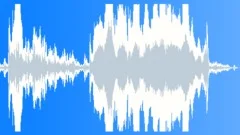 Animal African Wild Dog whining04 Sound Effect