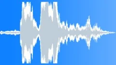 Animal African Wild Dog yelping03 Sound Effect