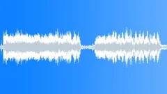 ANIMAL ALPACA MALE MATING CALL08 Sound Effect