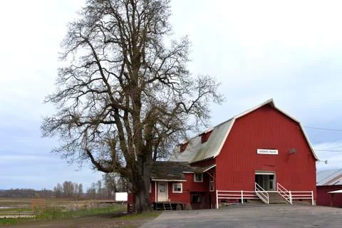 An animal barn. Stock Photos