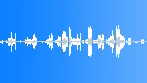 ANIMAL, BOAR Sound Effect