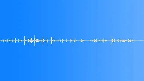 Hen Chicken Clucking Sound Effects ~ Sounds | Pond5