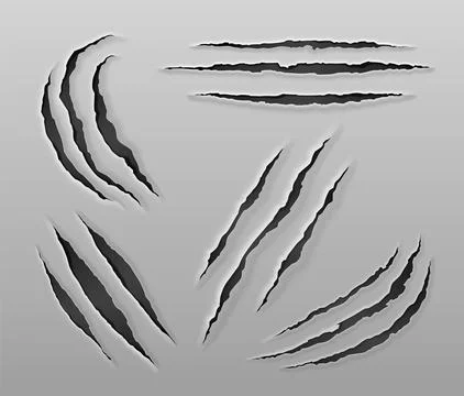 Animal claw scratch mark. Stock Illustration