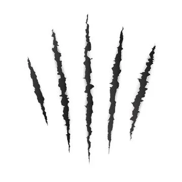 Animal claw scratches. Wild animal claws scratch texture. Vector illustration Stock Illustration