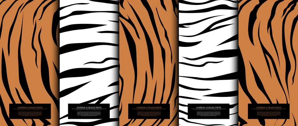 Animal collection abstract pattern texture tiger skin background card templat 스톡 일러스트