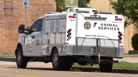 Animal Control in Texas Stock Footage 94871827