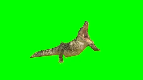 ANIMAL. CROCODALE . 4K  .Time-19 seconds. Stock Footage 294907502