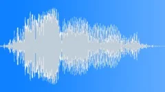 ANIMAL DOG BORDER COLLIE FEMALE BARK04Sound Effect