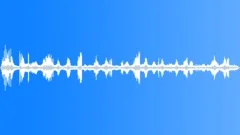 ANIMAL, DOLPHIN Sound Effect