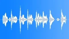 ANIMAL, DOLPHIN Sound Effect