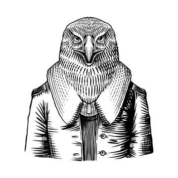 Animal Eagle or falcon bird character in aviator jacket clothes in hand drawn Stock Illustration
