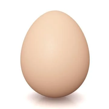 Animal eggs concept illustration Ilustração Stock