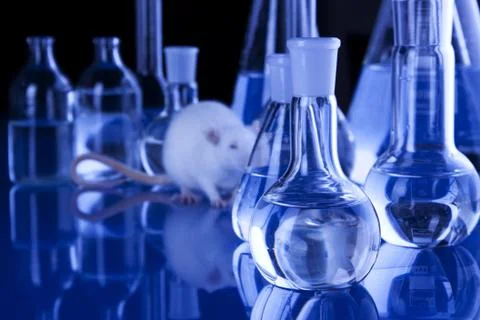 Animal experiments Stock Photos