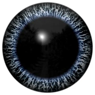 Animal eye with purple colored iris, detail view into eye bulb. alien strange Stock Illustration