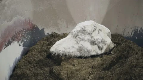 Animal feed is mixed in a special mixer. Close-up shooting of the process Stock Footage 201446519