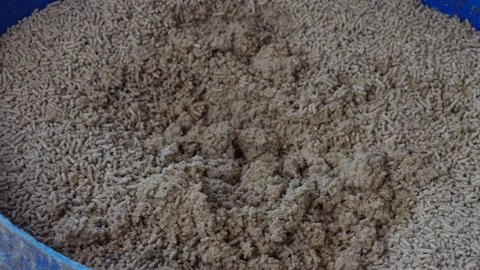 Animal feed pellets Видео 333897995